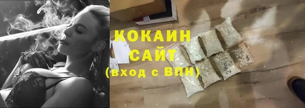 молекула духа Арсеньев