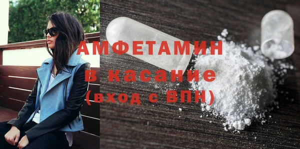 молекула духа Арсеньев