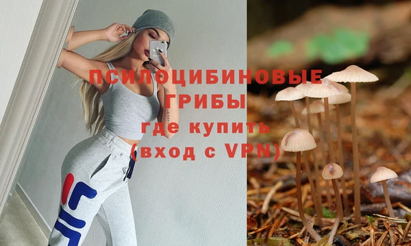 молекула духа Арсеньев