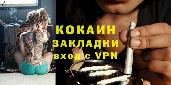 молекула духа Арсеньев