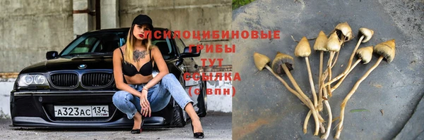 мет Аркадак